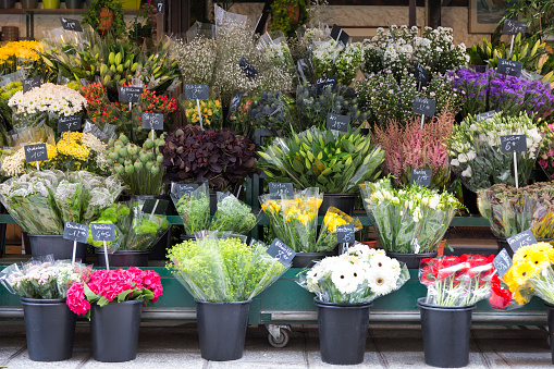 Paris, flowers for sale in shop, France.