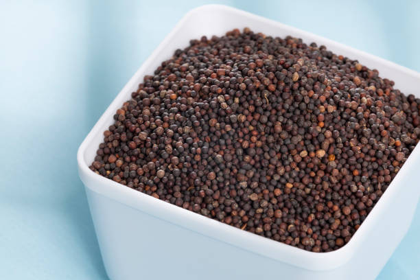 istock Brassica Nigra - Black Mustard Seeds Or Ajenabe 1390262917