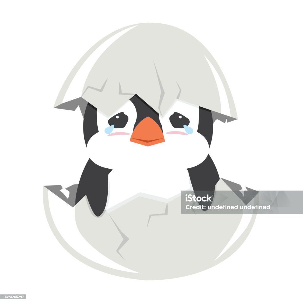 Chim Cánh Cụt Con Dễ Thương Khóc Nở Trong Trứng Hình minh họa Sẵn ...