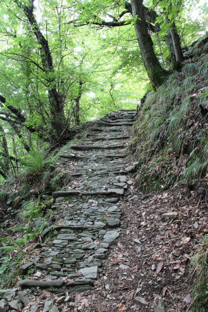 istock Hiking at the Lago Maggiore in late summer 1390271178