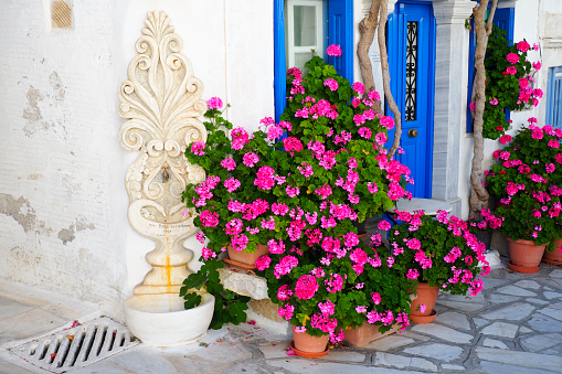 As you walk through the streets of Pyrgos, a superb village of white marble craftsmen on the island of Tinos, in the heart of the Aegean Sea, you can quench your thirst at this pretty flower-filled fountain.
