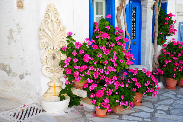 As you walk through the streets of Pyrgos, a superb village of white marble craftsmen on the island of Tinos, in the heart of the Aegean Sea, you can quench your thirst at this pretty flower-filled fountain As you walk through the streets of Pyrgos, a superb village of white marble craftsmen on the island of Tinos, in the heart of the Aegean Sea, you can quench your thirst at this pretty flower-filled fountain. andros island stock pictures, royalty-free photos & images
