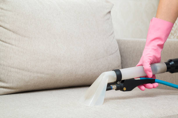 Woman hand in rubber protective glove using spray nozzle of professional vacuum cleaner and washing light beige seat of sofa at home. Extraction method. Commercial cleaning service. Closeup. stock photo