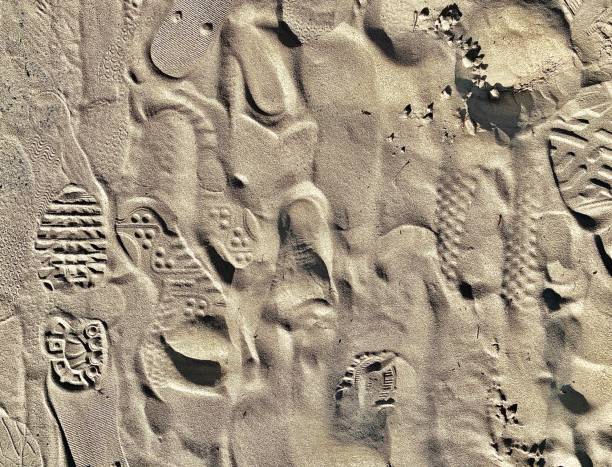 istock Walking Foot Prints in Beach Sand 1390285654
