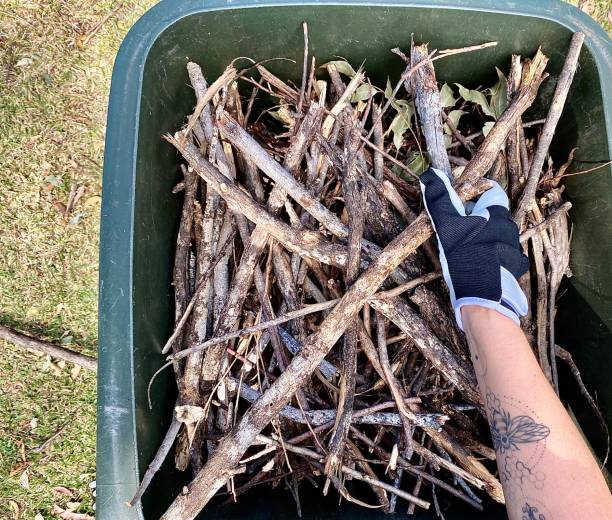 kolekcja koszy na śmieci na podwórku - garden waste zdjęcia i obrazy z banku zdjęć