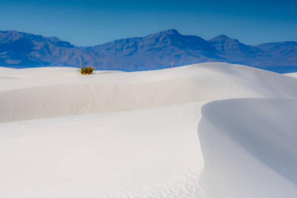 istock Sand Dunes Rise And Fall Along Trail Through White Sands 1390290575