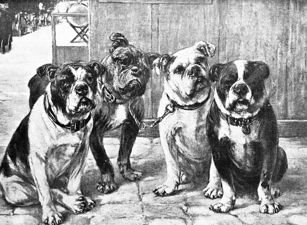 Illustration from 19th century.
