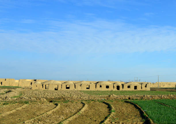 Balkh, Balkh province, Afghanistan: Afghan vernacular architecture - domed mud brick houses and agricultural field - Earth architecture - bricks use a mixture of clay mud, water and straw, called “pakhta” and are dried in the sun, some then go to a traditional brick kiln.. Adobe / earth buildings.