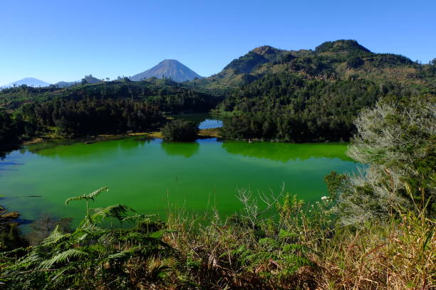 Panorama of Color Lake and Prau Mountain Color lake and Prau mountain are located in Central Java, and are one of the famous destinations in Indonesia. central java province stock pictures, royalty-free photos & images