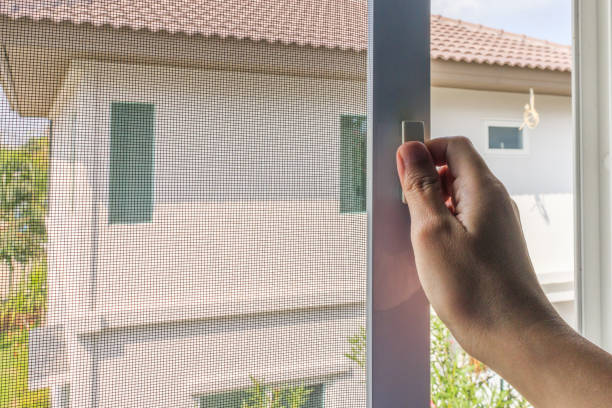 istock Hand hold mosquito net wire screen handle on house window 1390298283