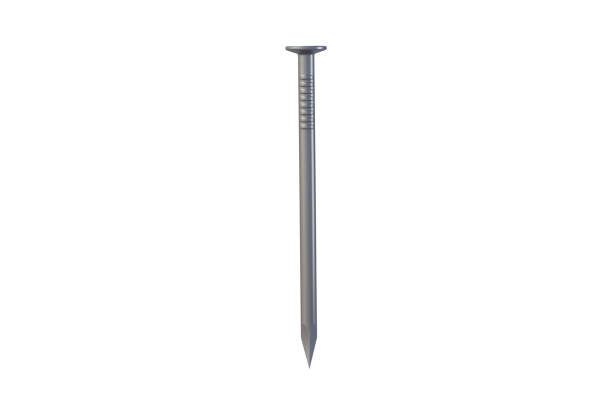 istock Metal nail isolated on white background. 3d render 1390300076