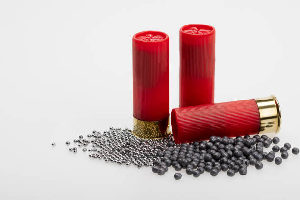 diferencia de tamaño de perdigones dentro de las balas de proyectil de escopeta, juego de disparos de armas - gun rounds fotografías e imágenes de stock