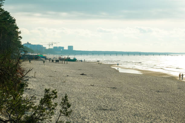 budynek nad brzegiem morza. strefa przemysłowa . port towarowy - engineer environment factory orange zdjęcia i obrazy z banku zdjęć