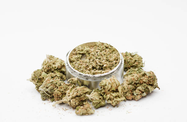 istock Ground marijuana in aluminum grinder, with buds, white background. 1390303266