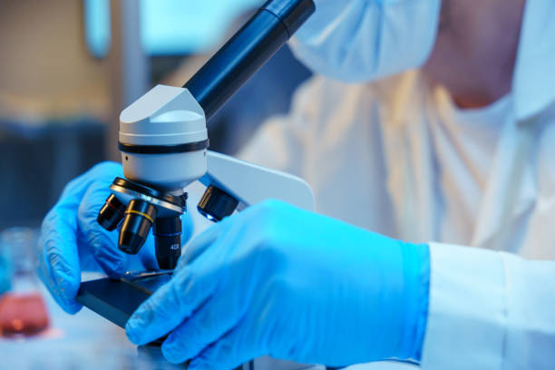 istock Close-up of a microscope and scientist's hands in protective gloves in professional illumination 1390303338