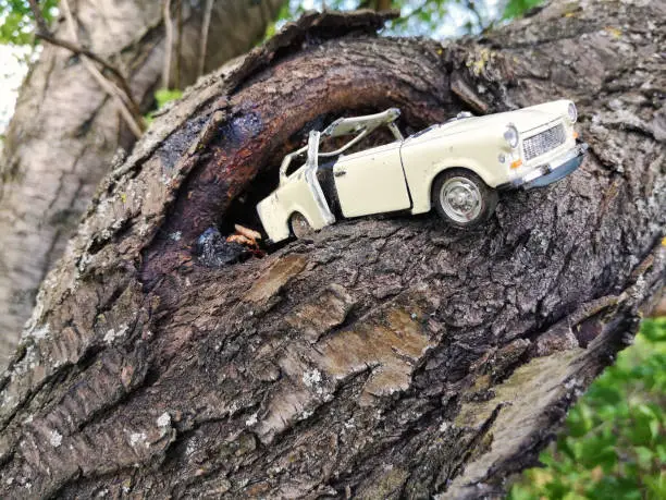 old broken Trabant toy car on an old tree