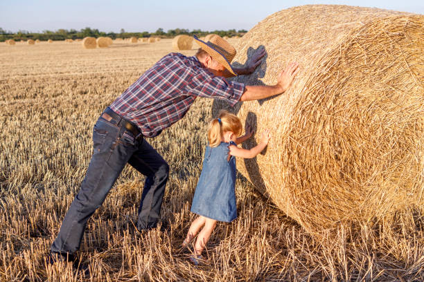 Girl helping grandfather roll hay in one giant bale