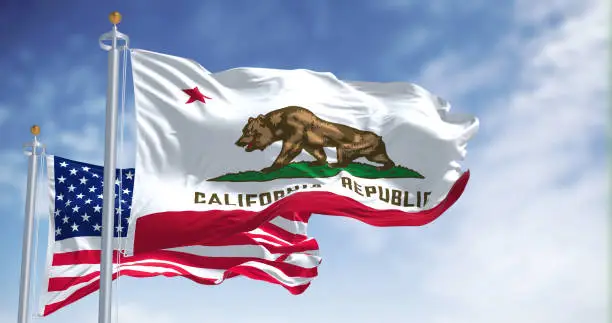 Photo of The California state flag waving along with the national flag of the United States of America