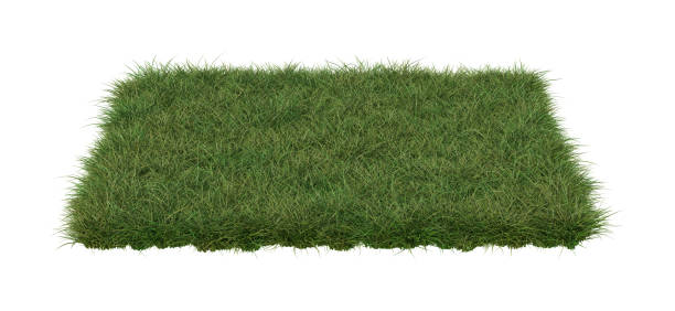 istock A square patch of grass isolated on white background. 1390310575