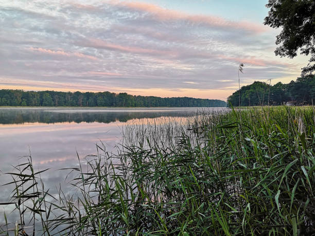 istock twilight at the lake 1390315246
