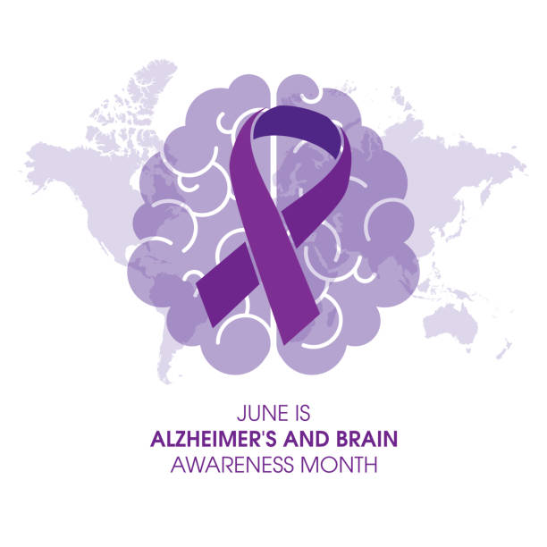 June is Alzheimer's and Brain Awareness Month vector Human brain with purple awareness ribbon icon vector isolated on a white background alzheimer's disease stock illustrations