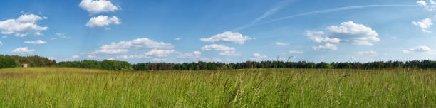 paysage panoramique de schorfheide - schorfheide photos et images de collection