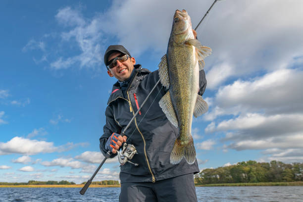 success zander fishing. happy fisherman with big walleye fish trophy at lake - carretel de pesca imagens e fotografias de stock