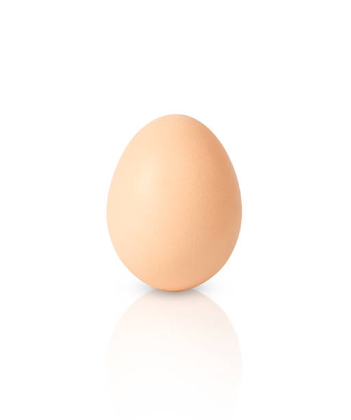 istock Perfect chicken egg isolated on white background 1390317916