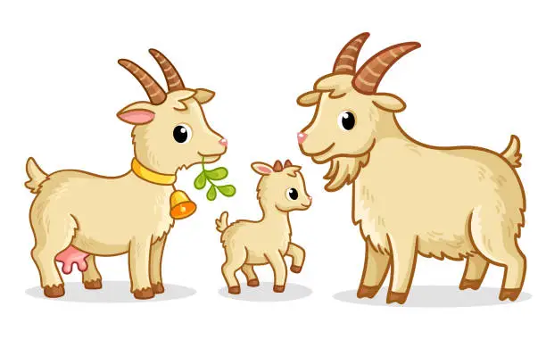 Vector illustration of A family of goats stands on a white background. Vector illustration with farm animals