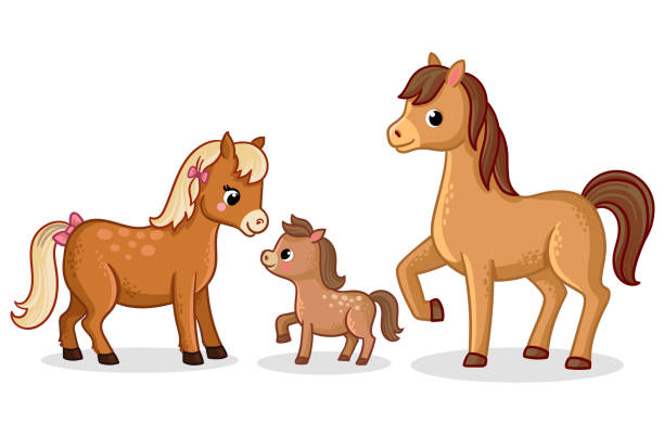 Famille de chevaux se tient. Illustration vectorielle avec des chevaux et des poulains dans un style cartoon. - Illustration vectorielle