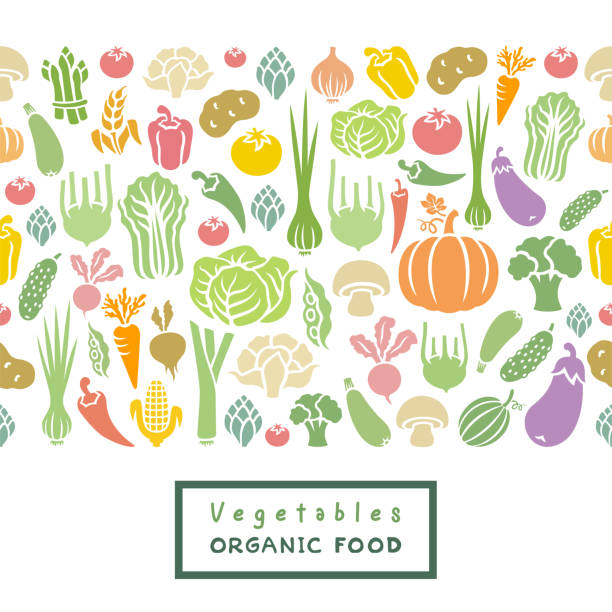 ilustraciones, imágenes clip art, dibujos animados e iconos de stock de patrón perfecto de verduras frescas. bandera de alimentos orgánicos. - farmers market illustrations