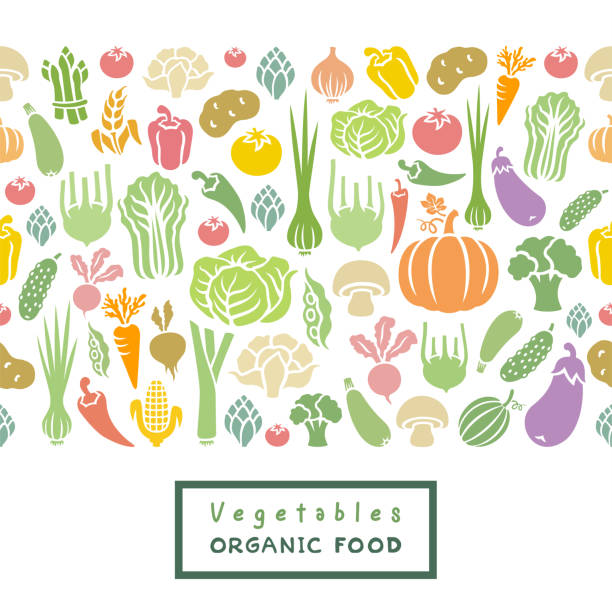 Seamless pattern of fresh vegetables. Organic food banner. Seamless pattern of fresh vegetables. Organic food banner. scallion stock illustrations