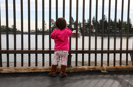 A toddler standing at the protective gate and looking at the Cobbs Hill Reservoir in Rochester, NY her her back towards the camera