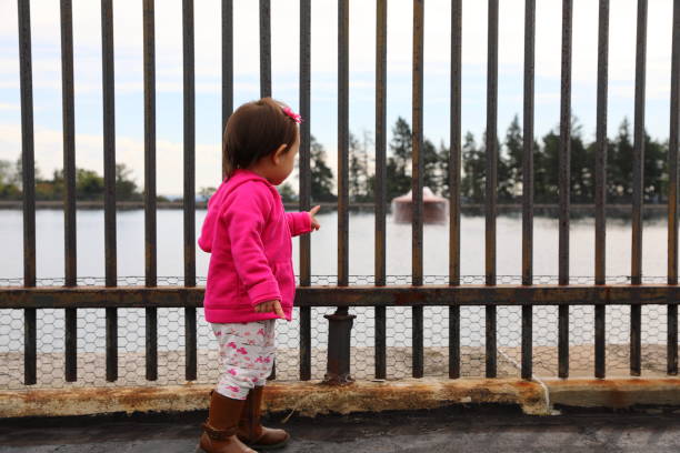 istock Toddler at the Reservoir 1390324730