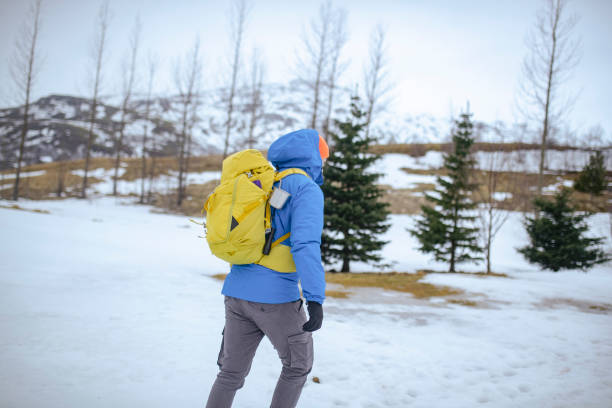 un uomo irriconoscibile ama l'avventura di fare escursioni attraverso l'islanda. isl - rear view winter blizzard nordic countries foto e immagini stock