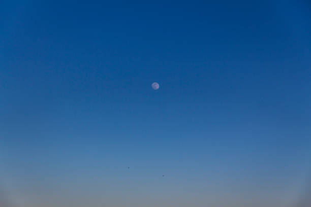 istock An almost full moon in a blue, clear sky at dusk. 1390328430