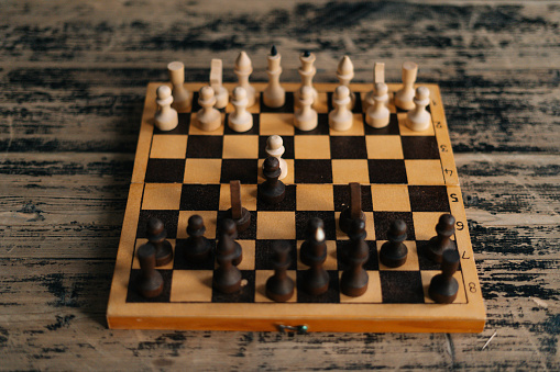 White and Black Plain Chess, Knights Chess Piece- Brain Games. Board Games