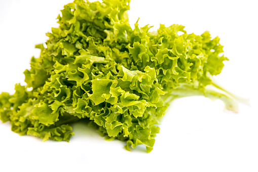 Fresh green lettuce isolated on a white