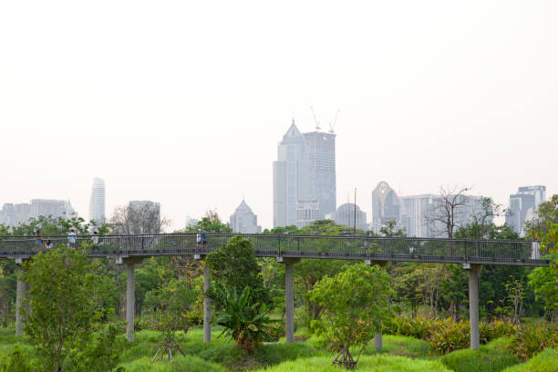 Bangkok, Thailand – April 8, 2022: Benjakitti Forest Park it's a new beautiful landscaped park. It's a huge green space in the city. Park includes Skywalk, little ponds, running and cycling paths.