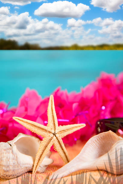 Vacation Holiday at the beach collecting sea shells.  Hot pink lei with starfish and conch shells.   Island in background.