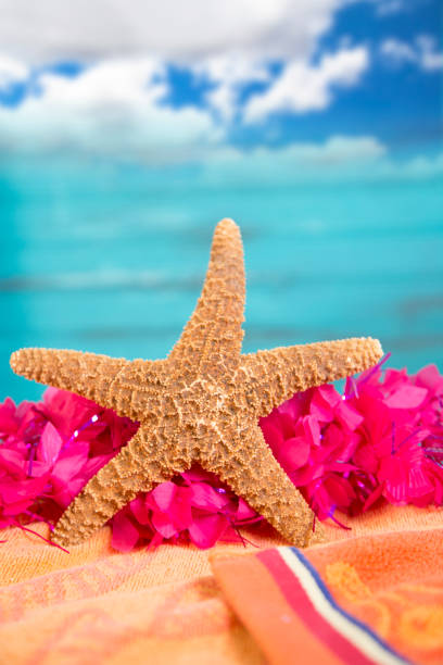 Vacation Holiday at the beach collecting sea shells.  Large starfish and hot pink lei, orange beach towel.