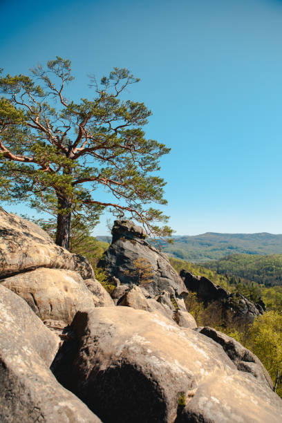 istock dovbush rocks Ukraine hiking landmark 1390335067