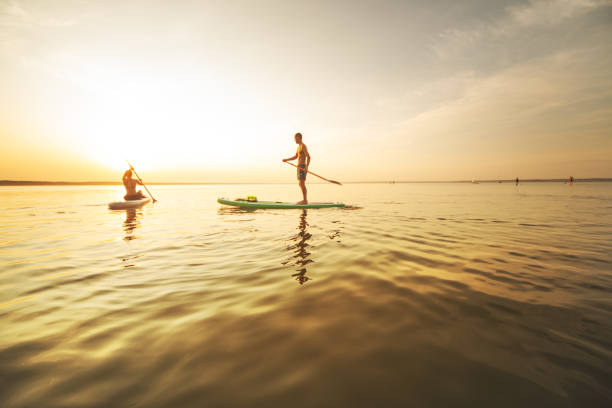 istock Group of people swimming on sup boards at sunset 1390335311