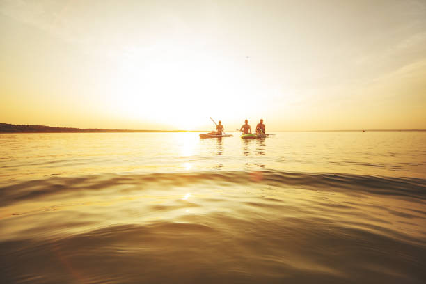 istock Group of people swimming on sup boards at sunset 1390335314