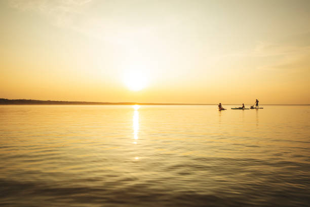 istock Group of people swimming on sup boards at sunset 1390335328