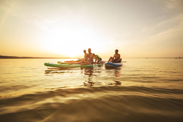 istock Group of people swimming on sup boards at sunset 1390335358
