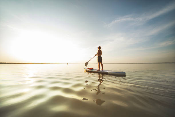 해질녘에 혼자 수프 보드에서 수영하는 젊은 여성 - surfing paddling surfboard sunset 뉴스 사진 이미지