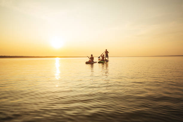 istock Group of people swimming on sup boards at sunset 1390335361