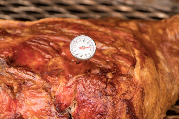 Proper Internal Temperature of the Cooked Whole Hog stock photo