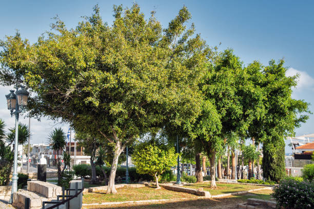 Central park near Ayia Napa Monastery, Cyprus.